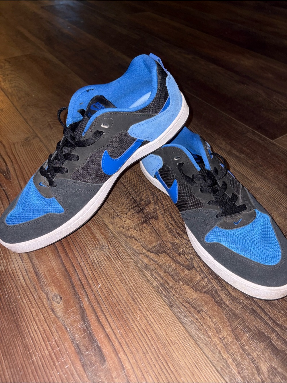 Nike SB Alleyoop Sneakers Blue/Black Men Sz 11 Pre Owned  Good Condition